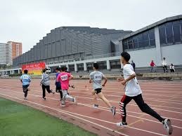 世界棒球12强赛历史数据可视化发布